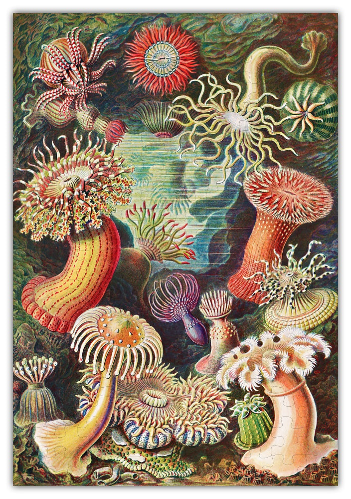 Haeckel’s Ocean Plants — Wooden Art Puzzle