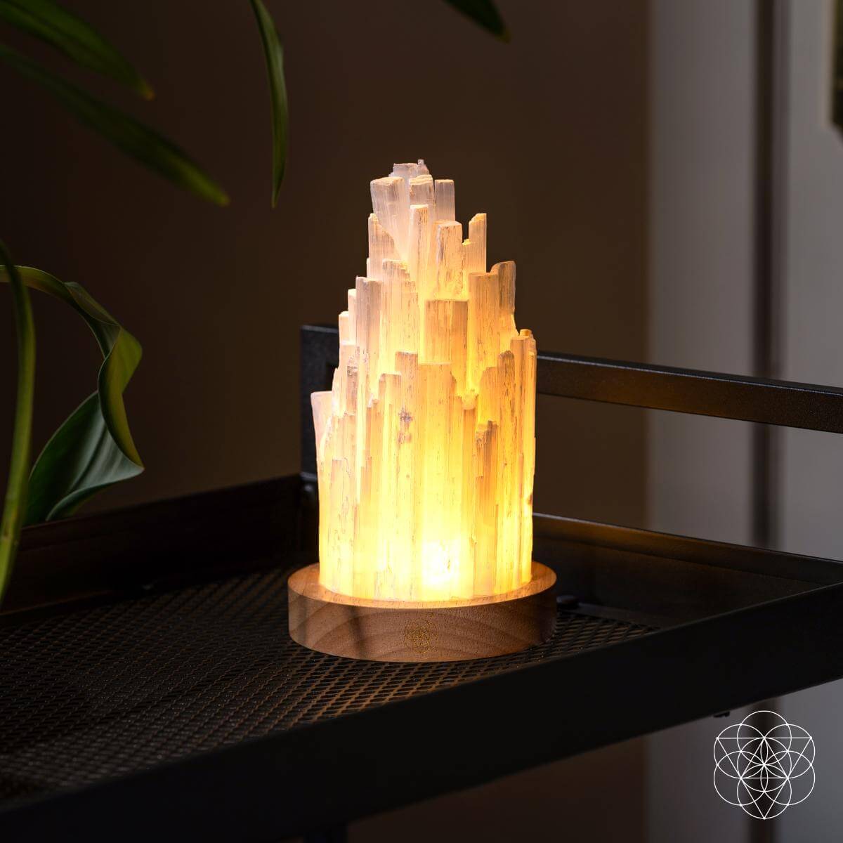 Desert Selenite